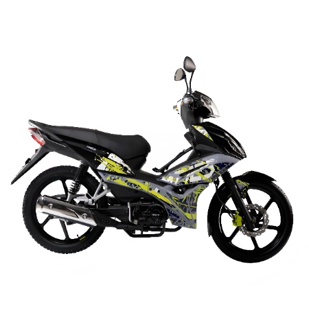 MOTOR MT 125 CC